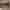Rare Mags' tweet was shared two thousand times